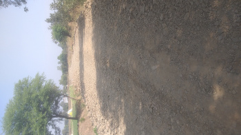 6 Acre Agricultural/Farm Land for Sale in Bhopal Naka, Sehore