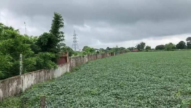 6 Acre Agricultural/Farm Land for Sale in Bhopal Naka, Sehore