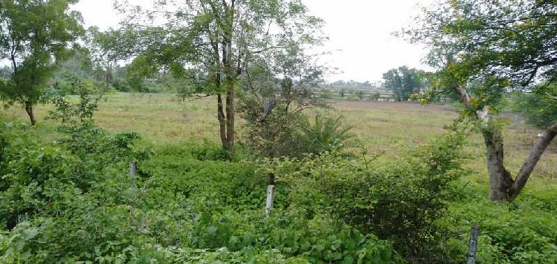 1.5 Acre Agricultural/Farm Land for Sale in Ratibad, Bhopal