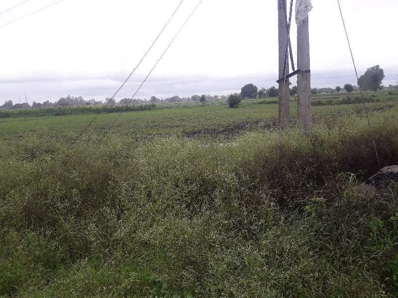 1.37 Acre Agricultural/Farm Land for Sale in Bilkisganj, Sehore