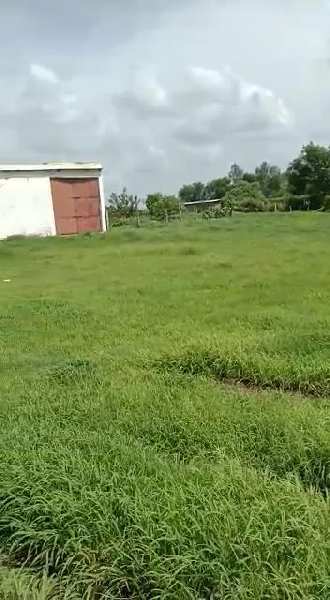 27 Acre Agricultural/Farm Land for Sale in Bilkisganj, Sehore
