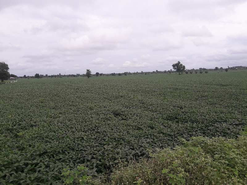 24 Acre Agricultural/Farm Land for Sale in Bhopal Naka, Sehore