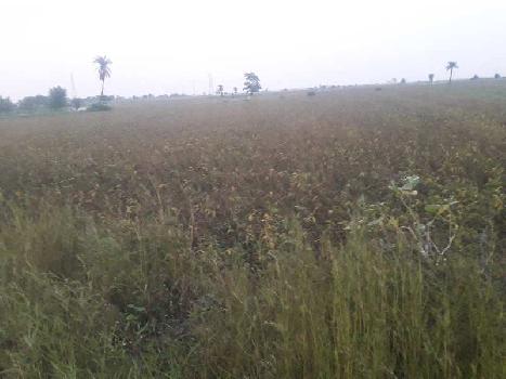 26535 Sq.ft. Agricultural/Farm Land for Sale in Ratibad, Bhopal