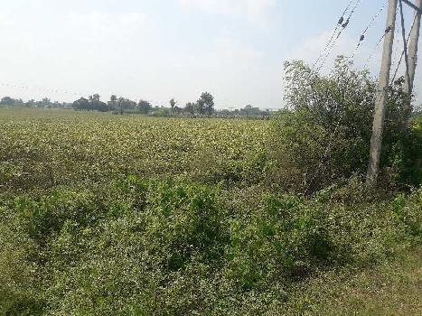 7.5 Acre Agricultural/Farm Land for Sale in Ratibad, Bhopal