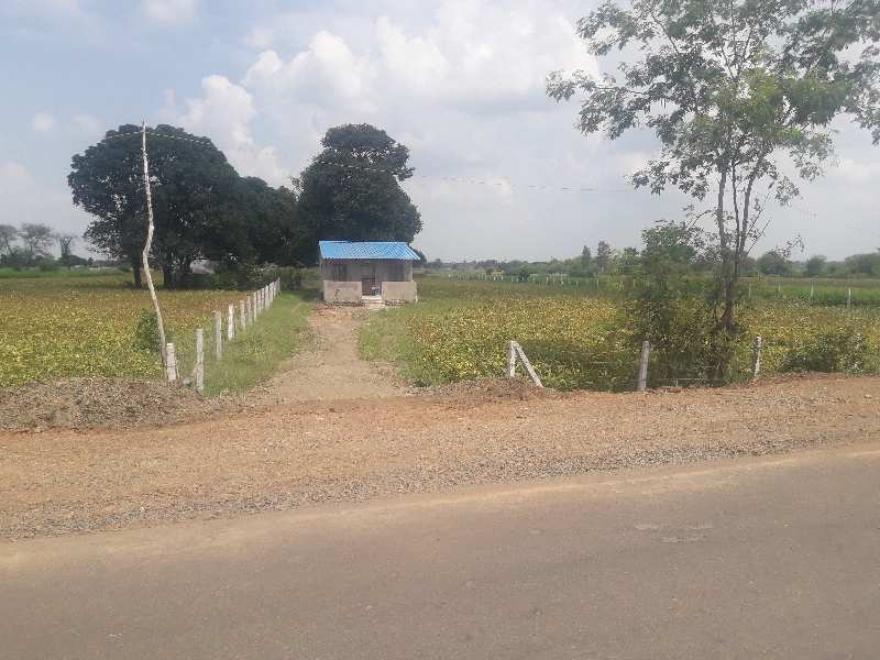 2 Acre Agricultural/Farm Land for Sale in Phanda, Bhopal