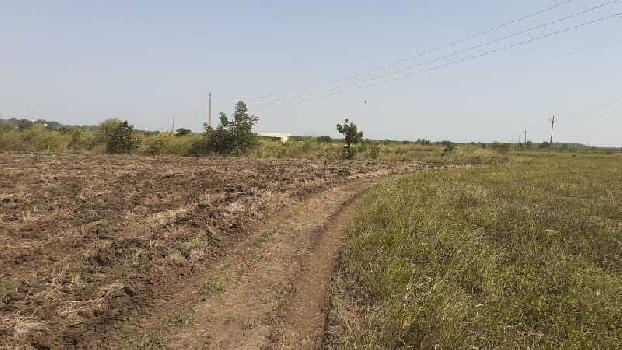 70 Acre Agricultural/Farm Land for Sale in Badiyakheri, Sehore