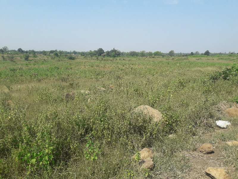 60 Acre Agricultural/Farm Land for Sale in Goharganj, Raisen