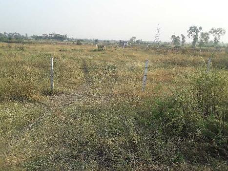 1.25 Acre Agricultural/Farm Land for Sale in Bilkisganj, Sehore