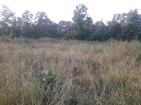 20 Acre Agricultural/Farm Land for Sale in Kolar Road, Bhopal
