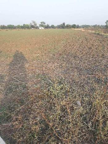 2.85 Acre Agricultural/Farm Land for Sale in Phanda, Bhopal