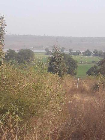 20000 Sq.ft. Agricultural/Farm Land for Sale in Fatehpur Dobra, Bhopal