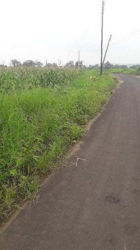 1 Acre Agricultural/Farm Land for Sale in Phanda, Bhopal