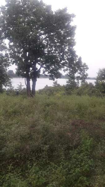 40 Acre Agricultural/Farm Land for Sale in Ichhawar, Sehore