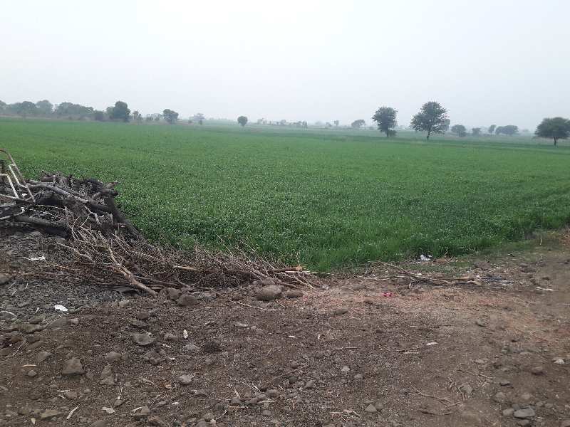 12 Acre Agricultural/Farm Land for Sale in Phanda, Bhopal