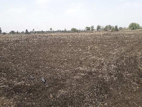 40 Acre Agricultural/Farm Land for Sale in Bilkisganj, Sehore