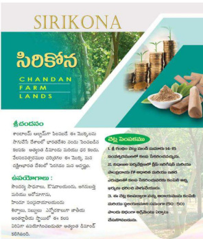 Agricultural/Farm Land for Sale in Podalakur, Nellore (20 Cent)