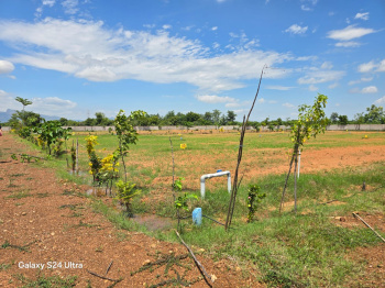 Property for sale in Podalakur, Nellore