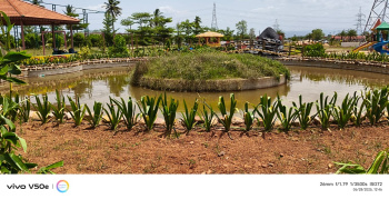 Residential Plot for Sale in Yerpedu, Tirupati (2376 Sq.ft.)