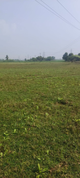 Agricultural/Farm Land for Sale in Yerpedu, Tirupati (50 Acre)
