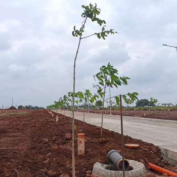 Residential Plot for Sale in Anantagiri Hills, Vikarabad (275 Sq. Yards)