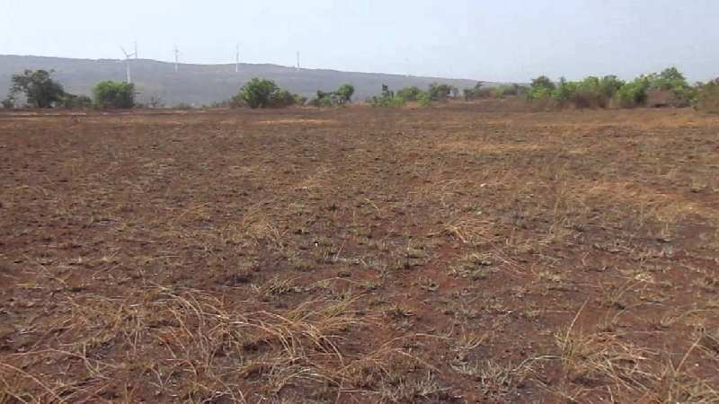Agricultural/Farm Land for Sale in NH 2, Palwal (14 Acre)