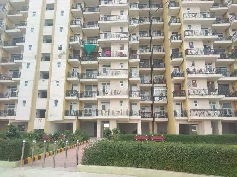 3 BHK Flats & Apartments for Sale in Sector 75, Faridabad