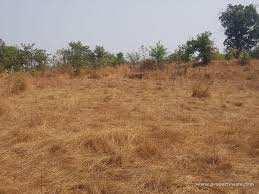 5 Acre Agricultural/Farm Land for Sale in Sector 83, Faridabad