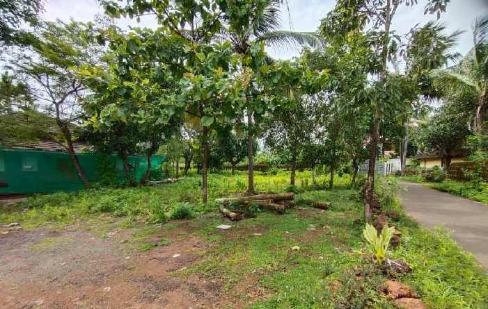 Residential Land for Sale at Thrissur