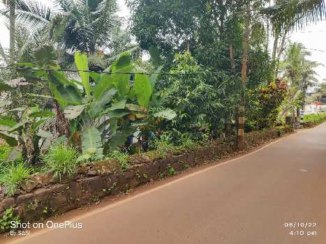Residential Land For Sale at Kozhikode