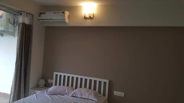 furnished flat for rent at calicut