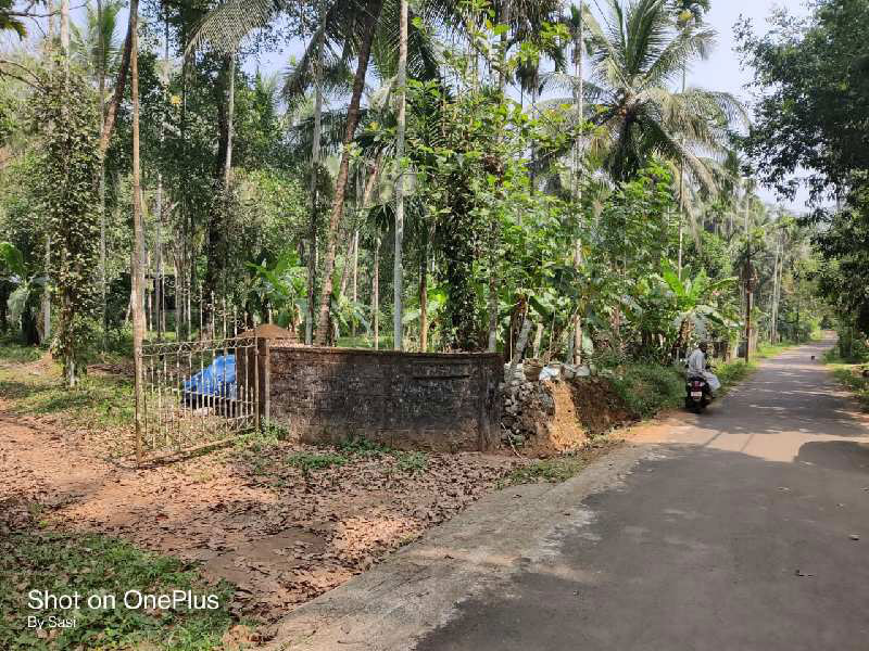 Residential Land for Sale at Thrissur