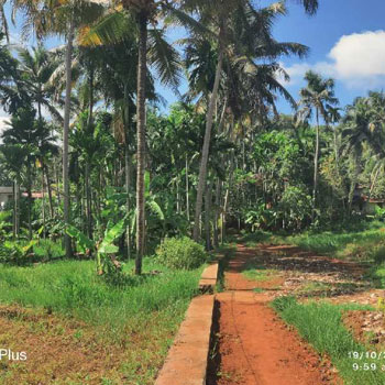 Commercial Land for Sale at Calicut