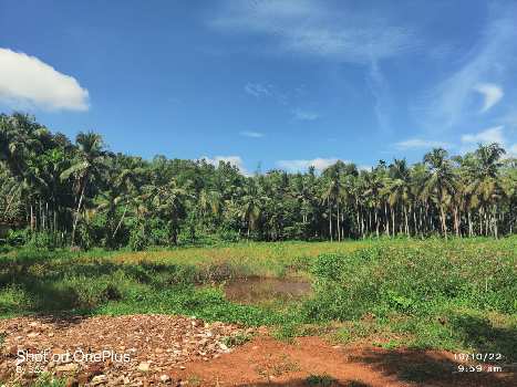 Residential Land for Sale at Calicut