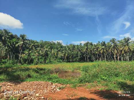 COMMERCIAL LAND FOR SALE AT CALICUT