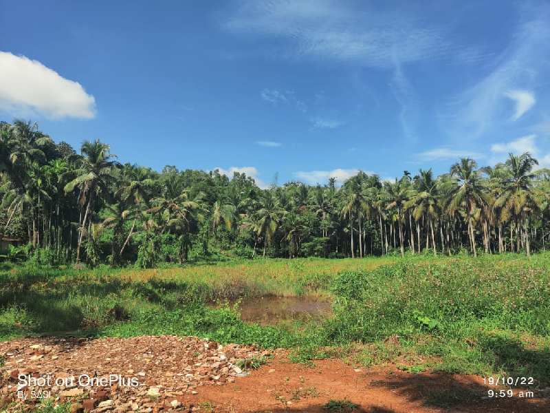 COMMERCIAL LAND FOR SALE AT CALICUT