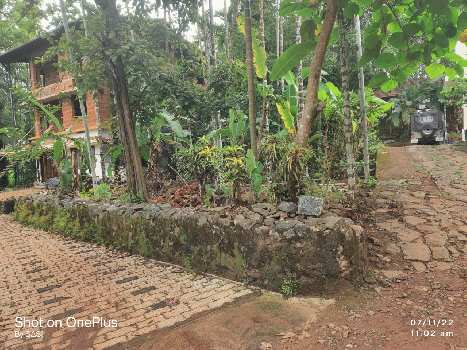 Residential Land for Sale at Calicut