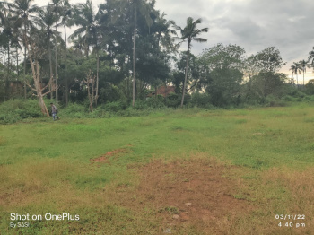 48.5 Cent Residential Land For Sale At Kechery,Thrissur