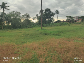 1.08 Acre Residential Land Available For Sale At Mattannur,Kannur