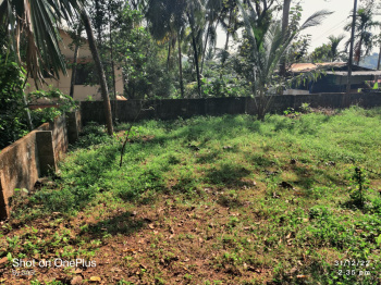 12 Cent Residential Land For Sale At Njaliyakuzhy,Kottayam