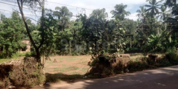 20 Cent Commercial Land For Rent At Kannothumchal,Kannur