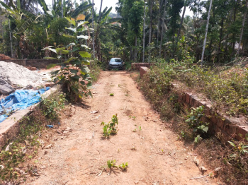 21.15 Cent Residential Land For Sale At Vazhakkod,Aakkod,Calicut