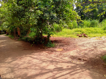 42 Cent Residential Land For Sale At Ponniakurussi,Perinthalmanna