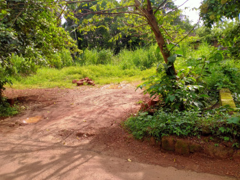 20 Cent Residential Land For Sale At Mannanthala , Trivandrum
