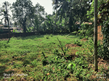 28 Cent Residential Land For Sale At Mundayad , Kannur