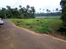 19 Cent Commercial Land For Sale At Link Road , Kozhikode