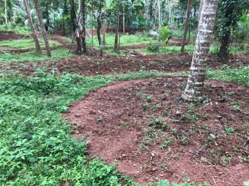 65 cents Residential Land for sale at Kozhikode