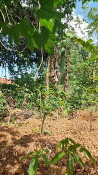 10 cent residential land for sale at Calicut