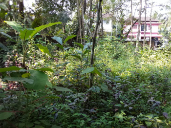 14.5 Cent Residential Land For Sale At Thondayad , Calicut