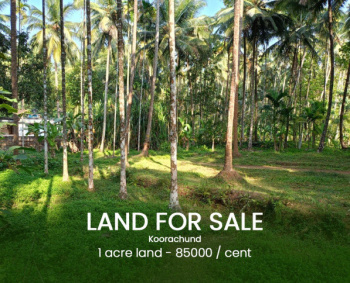 1 Acre Residential Plot for Sale in Koombara, Kozhikode