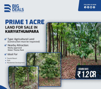 Prime 1-Acre Land for Sale in Kariyathumpara, Calicut
